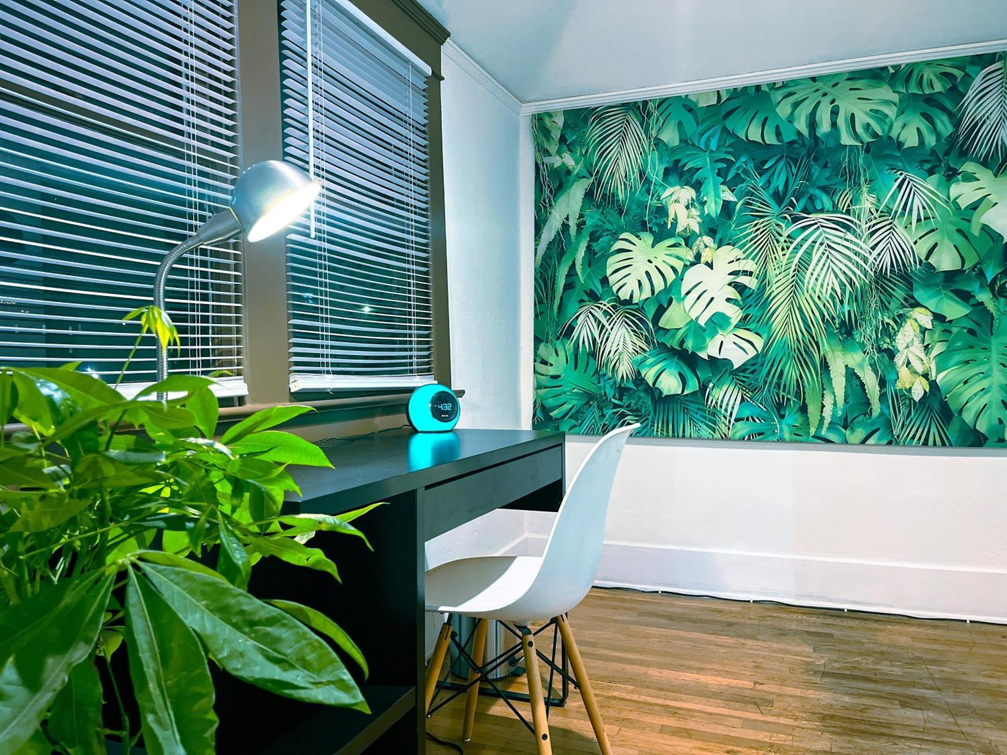Echo Zen Hostel ロサンゼルス エクステリア 写真